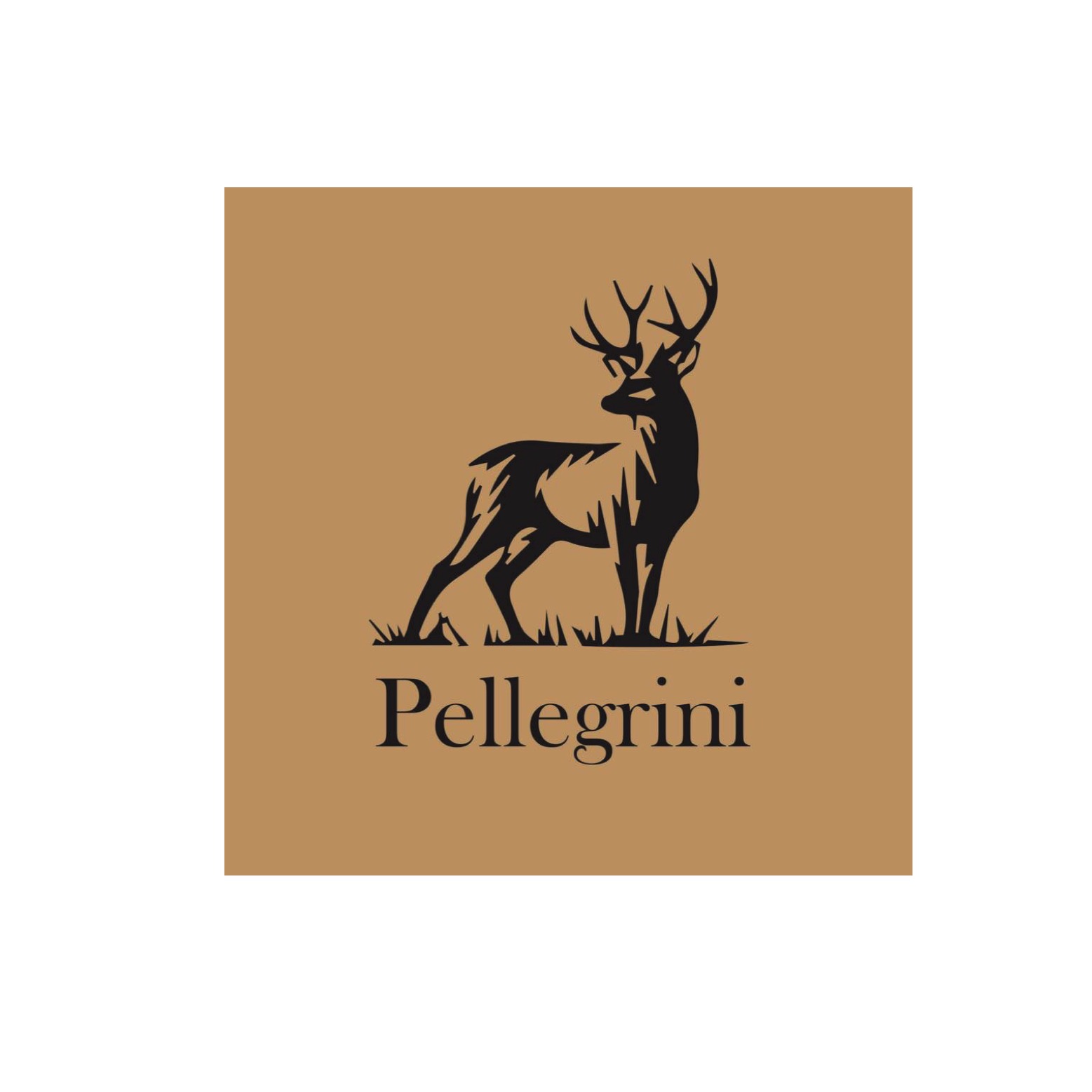 Pellegrini