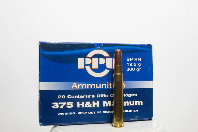 Karabinska municija PPU 375 HH Magnum SP RN 19.5g 300gr – PPU